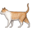 /tdsds.com/gitea/raw/branch/release/v1.10/public/vendor/plugins/emojify/images/cat2.png