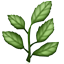 /tdsds.com/gitea/raw/branch/release/v1.10/public/vendor/plugins/emojify/images/herb.png