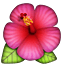 /tdsds.com/gitea/raw/branch/release/v1.10/public/vendor/plugins/emojify/images/hibiscus.png