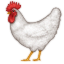 /tdsds.com/gitea/raw/branch/release/v1.10/public/vendor/plugins/emojify/images/rooster.png