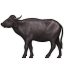 /tdsds.com/gitea/raw/branch/release/v1.10/public/vendor/plugins/emojify/images/water_buffalo.png
