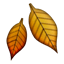 /tdsds.com/gitea/raw/branch/release/v1.8/public/vendor/plugins/emojify/images/fallen_leaf.png
