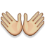 /tdsds.com/gitea/raw/branch/release/v1.8/public/vendor/plugins/emojify/images/open_hands.png
