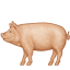 /tdsds.com/gitea/raw/branch/release/v1.8/public/vendor/plugins/emojify/images/pig2.png