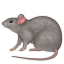 /tdsds.com/gitea/raw/branch/release/v1.8/public/vendor/plugins/emojify/images/rat.png