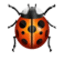 /tdsds.com/gitea/raw/branch/release/v1.9/public/vendor/plugins/emojify/images/beetle.png