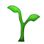 /tdsds.com/gitea/raw/branch/release/v1.9/public/vendor/plugins/emojify/images/seedling.png