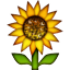 /tdsds.com/gitea/raw/branch/release/v1.9/public/vendor/plugins/emojify/images/sunflower.png